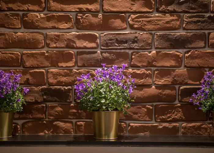 Concorde Old Готель